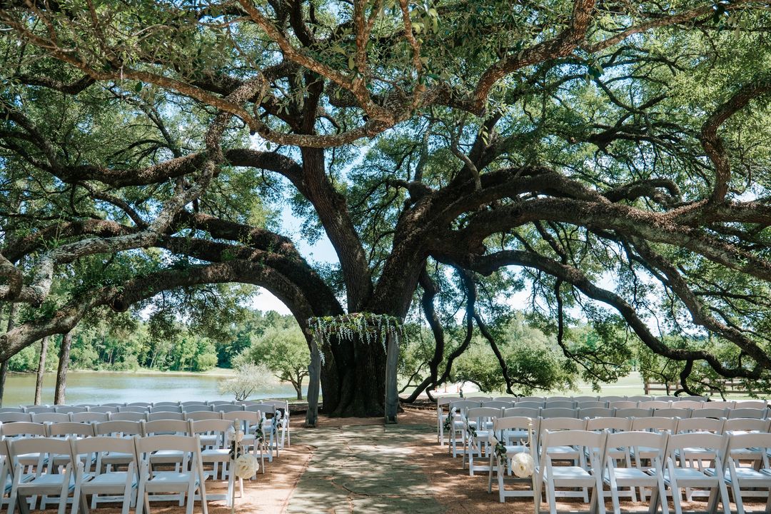 wisteria wedding ceremony backdrop