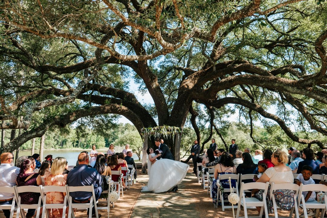 purple outdoor wedding ceremony