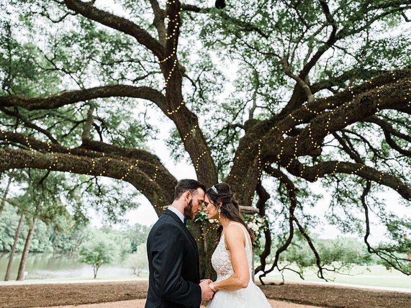 2 couple kiss under giant oak tree OPT