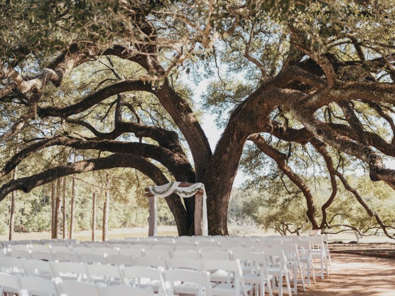 Houston Wedding venue outdoor wedding ceremony space with luxury chandelier, lake views, oak trees