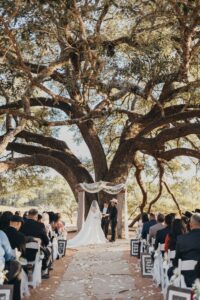 Houston Wedding Venues for 250 Wedding Guests 5 Houston Wedding Venues for 250 Wedding Guests