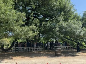 Things to Do in Houston: Top 15 Murals To Visit