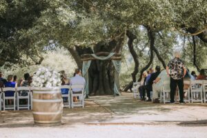 How to Save Money on Your Houston Wedding