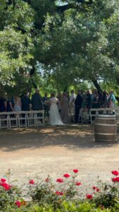 Top 100 Tourist Sites for Texas Engagement Photos