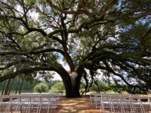 Outdoor wedding ceremony with lakefront views at a wedding venue near Houston
